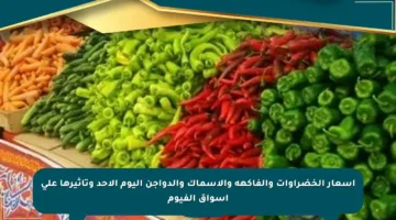 أسعار الخضراوات والفاكهة والأسماك والدواجن اليوم الأحد وتأثيرها على أسواق الفيوم